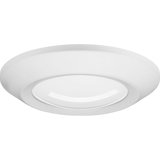 1 - Light Simple Circle LED Flush Mount