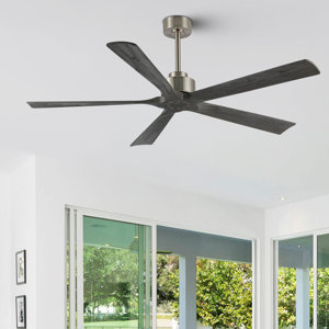 60" Waxman 5 - Blade Standard Ceiling Fan with Remote Control