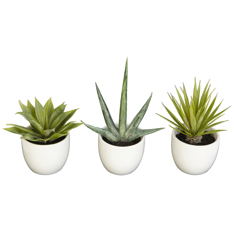 Southwest Collection Silk Agave Plant Set