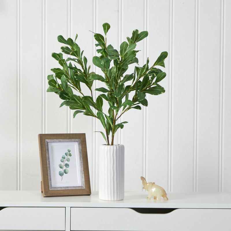 Plante salale artificielle 21 po 21 po