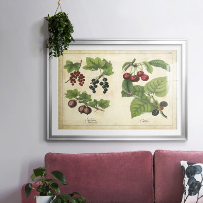" Kitchen Fruits III "