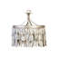Oyster Shell 4 - Light Pendant