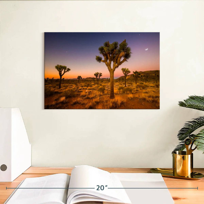 Nicci Joshua Tree Valley au coucher du soleil, H 8 po x l 12 po