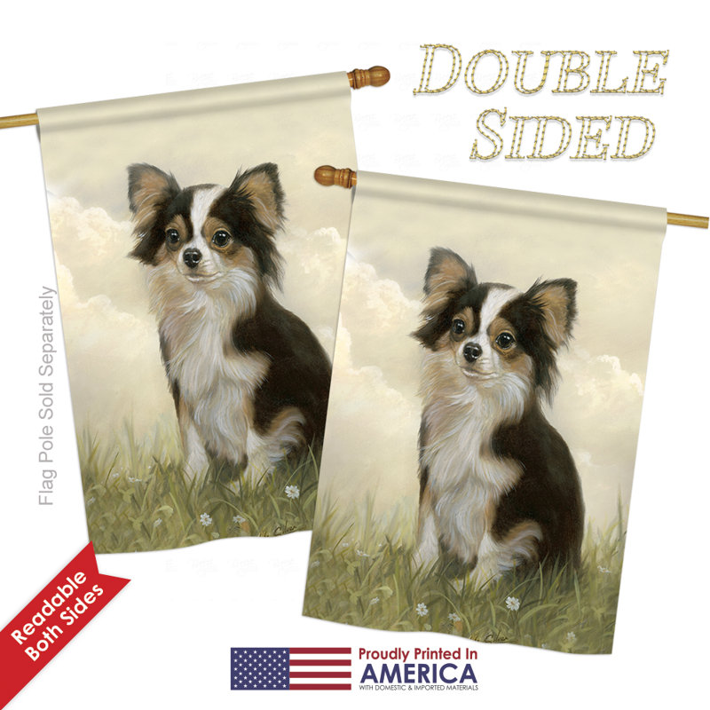 Double Sided 40'' H x 28'' W Polyester House Flag