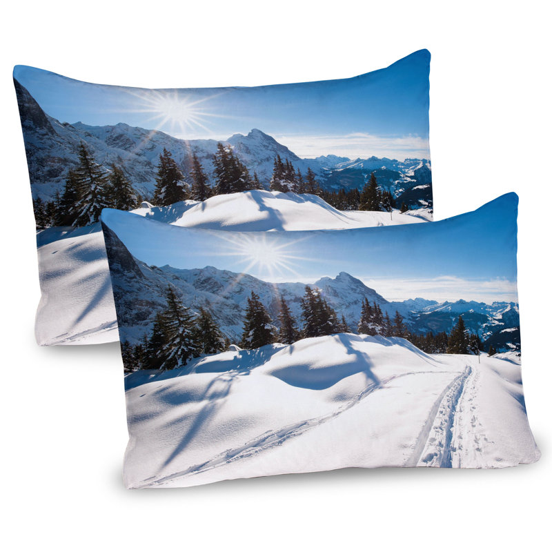 Ensemble de 2 taies décoratives Ambesonne, H 20 po x l 36 po
