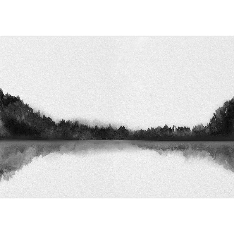 Murale à peindre aquarelle noire et blanche, L 66 po x l 96 po
