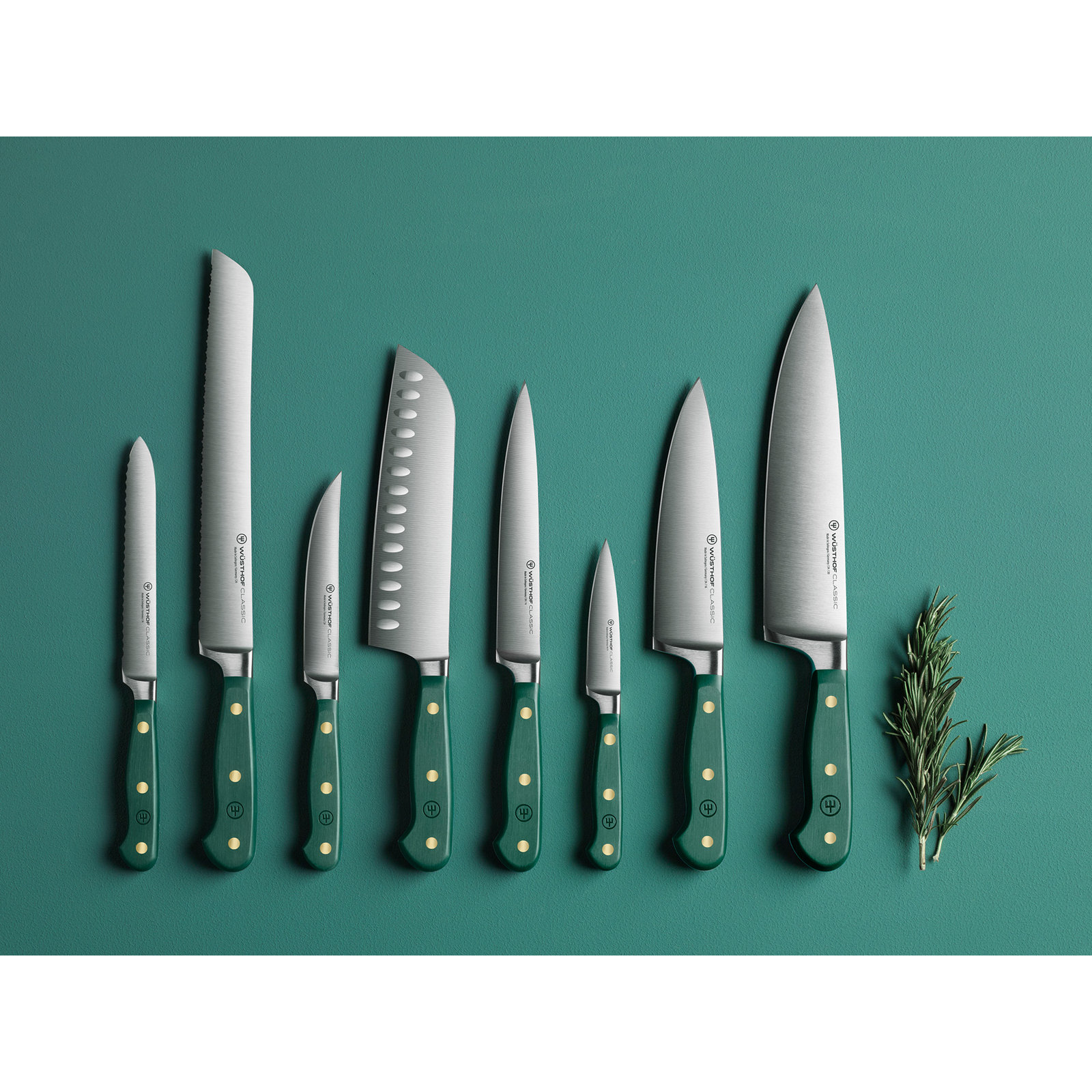 WÜSTHOF Classic Color 4 Piece Steak Knife Set, Fresh Rosemary