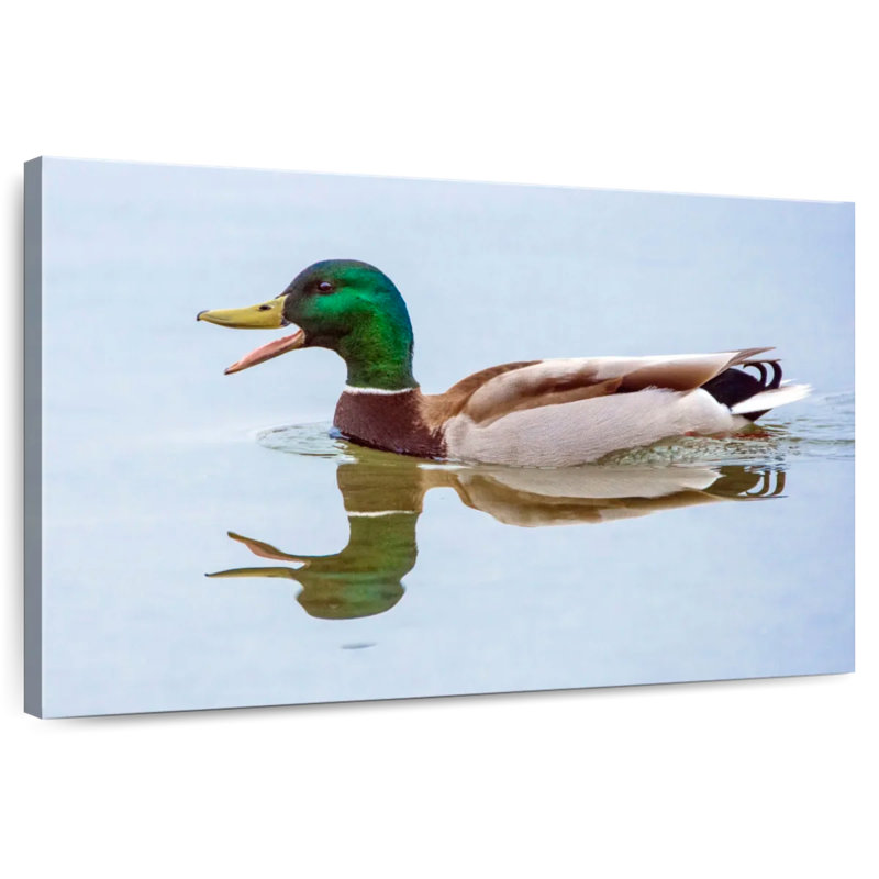 Brampt Floating Mallard Duck, 20" H x 30" W