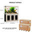 Aquarium rectangulaire Bina 235 gallons Bina