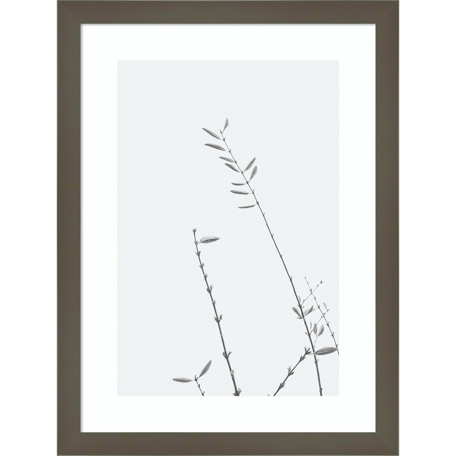 Retro Tennessee Botanical No 3 Photo Print, 17" H x 13" W x 1" D, Gray