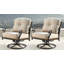 Bayshore Outdoor Swivel Lounge Chair