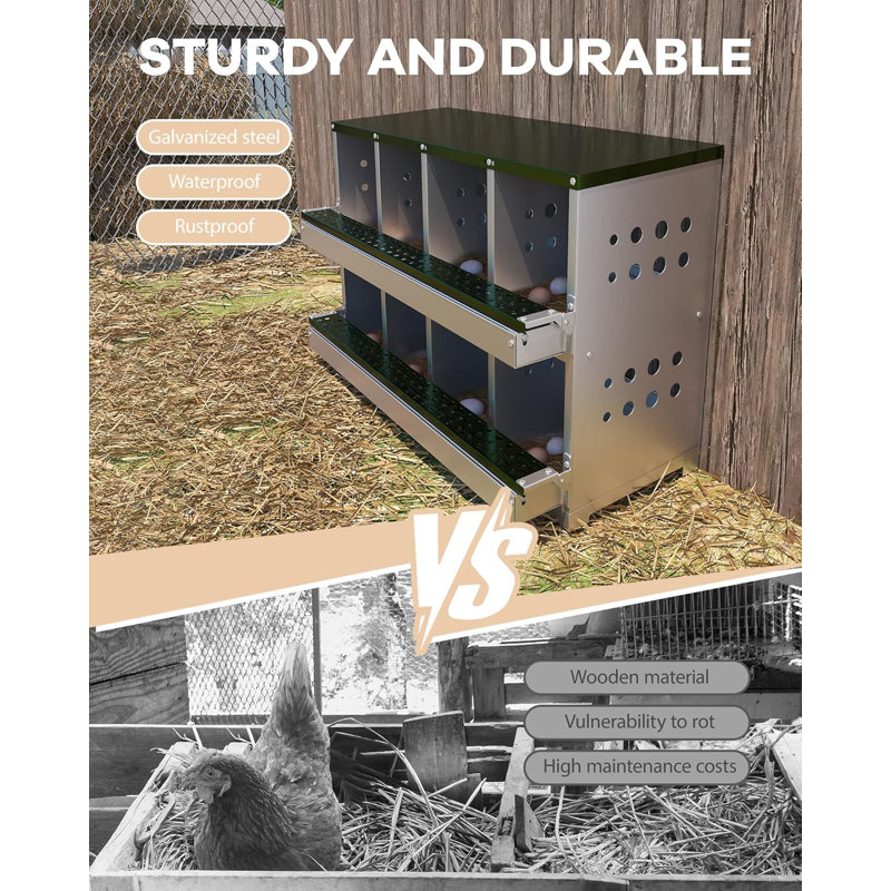 Boîte de nidification à 10 compartiments pour poules pondeuses en métal, Vert / nickel brossé, H 24 po x l 36 po x P 17 po