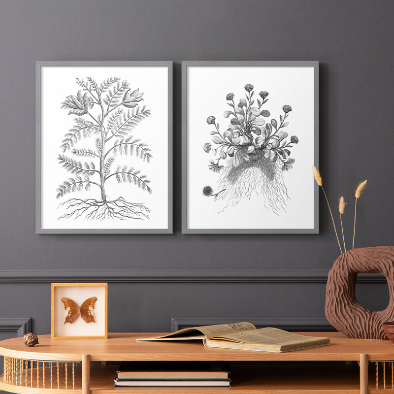 Reproduction encadrée de qualité supérieure B&W Plant Speciment IX - prête à être accrochée - aucun clou requis - aucun clou requis