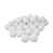 Blanc hivernal est en rupture de stock