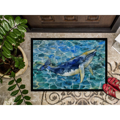 Non-Slip Outdoor Doormat