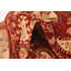 Tapis rouge Johnston