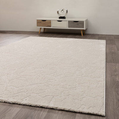 Kisor Area Rug