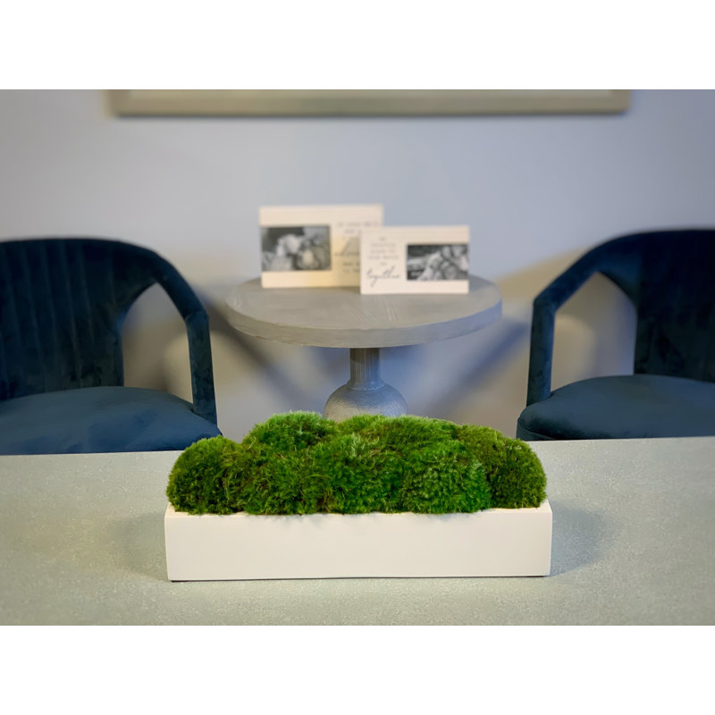 Jardinière Nature's Nostalgia Moss en Fiberstone, Blanc, H 7 po x l 16 po x P 7 po