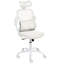 Office Chair with Headrest-252896914