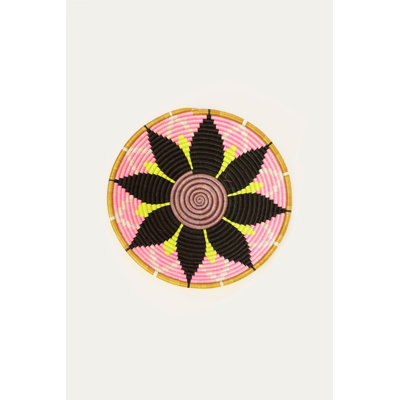 Flower Plateau & Neon