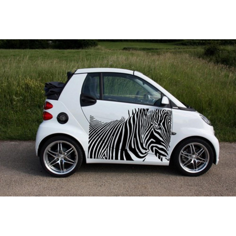 Animals Non-Wall Damaging Wall Decal