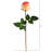 Rose Arrangement-623892840-623892844