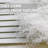 17'' Pampas Grass Grass-535719384