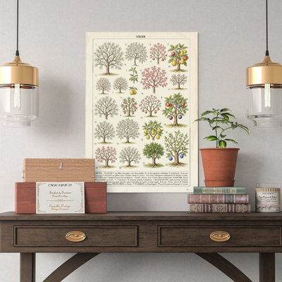 Canvas Wall Art Vintage French Orchard Fruit Tree Pear Apple Larousse Botanical Wall Print Vintage Poster Print Home Decor