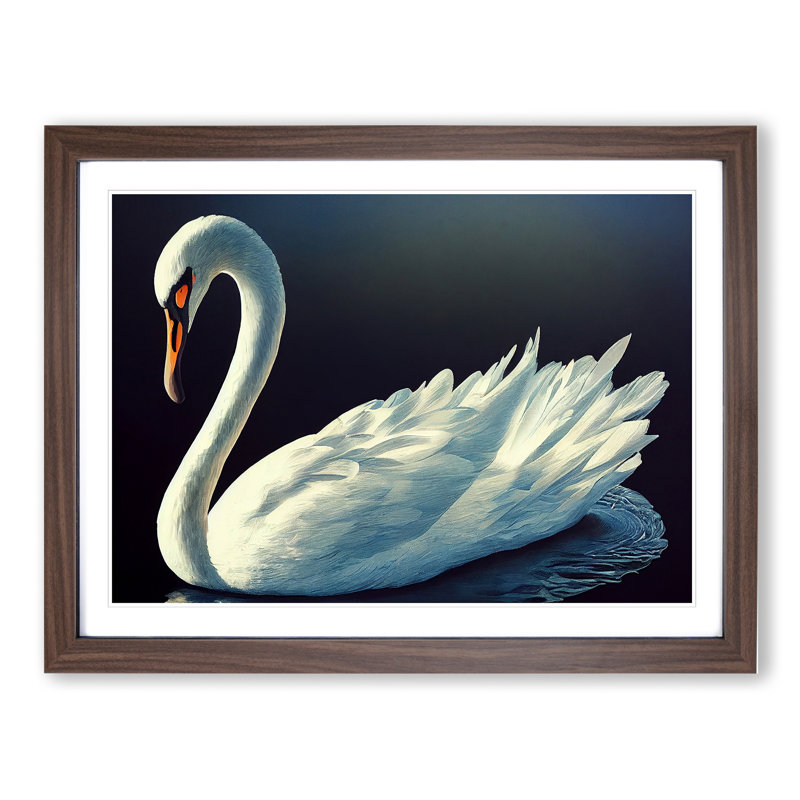 Appealing Swan - Single Picture Frame Print, 25cm H x 34cm W x 2cm D, Walnut Framed