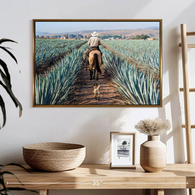 Inspecter la plantation d'agave