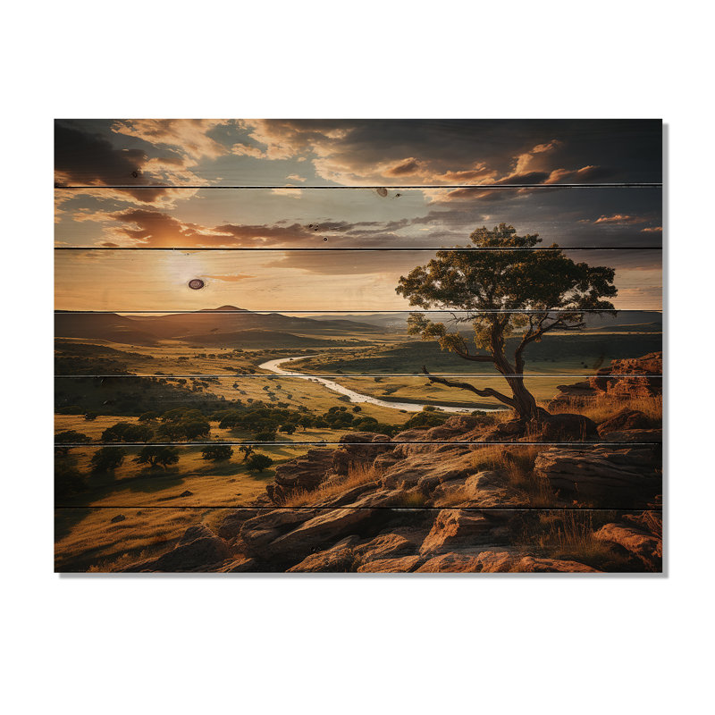 Heeter Texas Sunset Ultra sur impression de bois, H 10 po x l 20 po x P 0,78 po