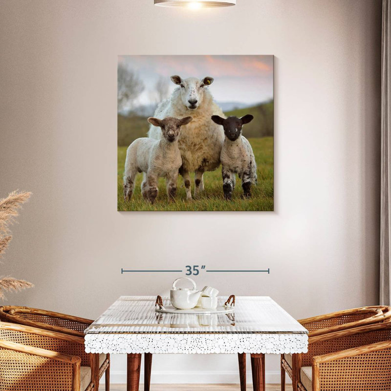 Brampt Markethill Sheep, 36" H x 36" W