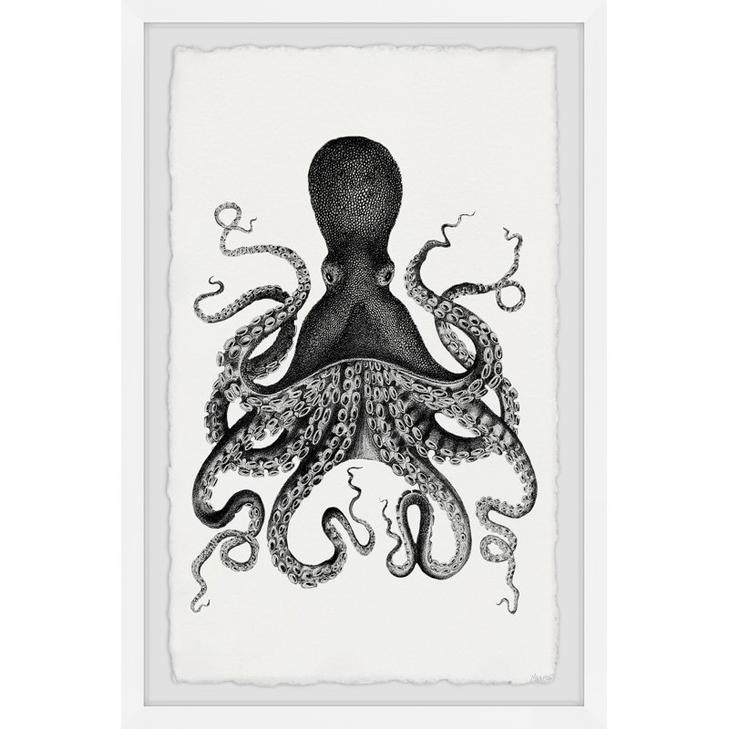 "Encre et tentacules", reproduction encadrée, H 12 po x l 8 po