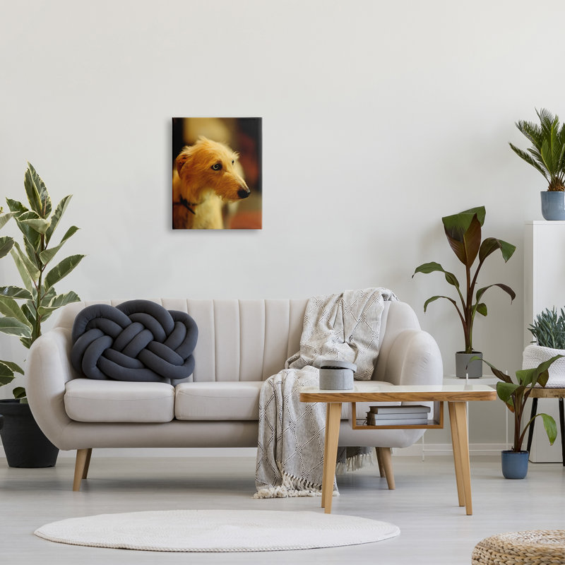 «Long Hair Terrier Dog» par James Dobson - photographie, Toile tendue, H 20 po x l 16 po x P 1,5 po