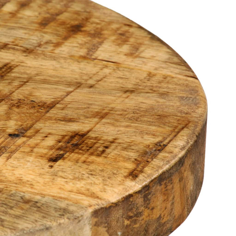 Vasser Counter Stool with Metal Frame