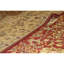 Oriental Area Rug in Gold