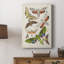 Toile tendue avec châssis de qualité supérieure Antique Moths II - prête à être accrochée-748338872