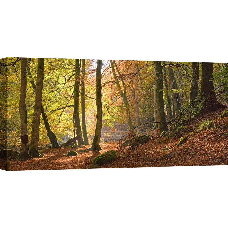 Autumn Beech Woods by Anonymous - Wrapped Canvas Print, 70 cm H x 140 cm W