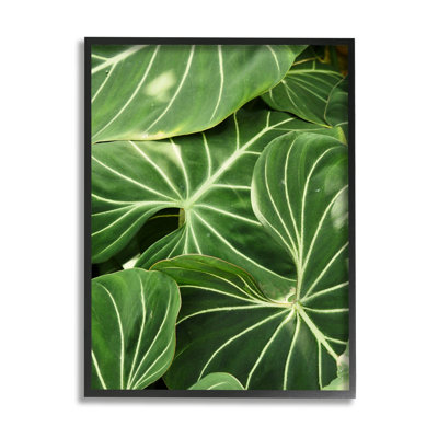 Végétale luxuriante à feuilles vertes