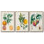 Orange de Malte, 3 pièces-97709156-97709157