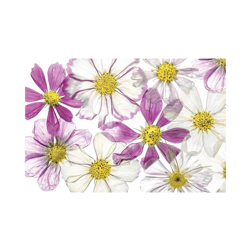 Keeping Summer by Mandy Disher - Wrapped Canvas Gallery-Wrapped Canvas Giclée, 20.32 cm H x 30.48 cm W
