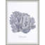 Cultivated Antiquity 1 Print-977375528