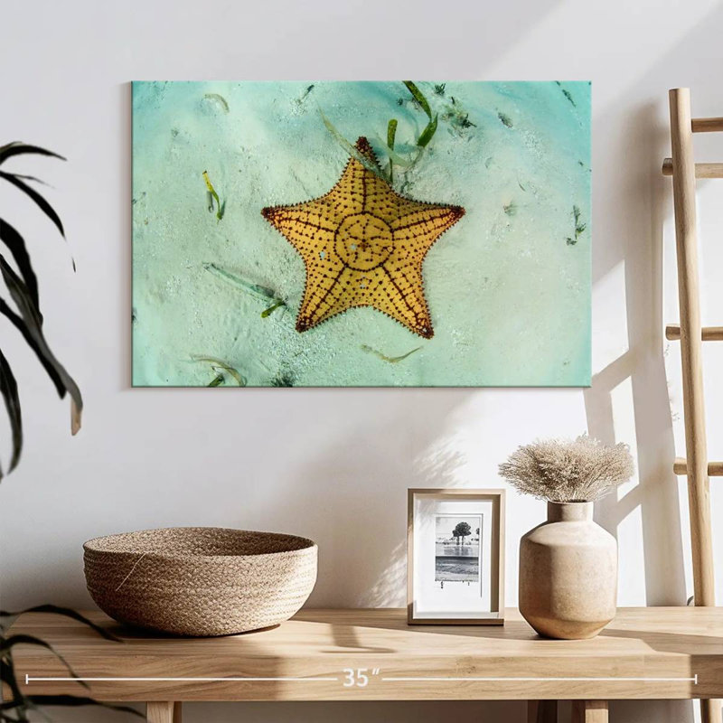 Crowle Starfish Underwater, H 16 po x l 24 po
