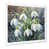 Cadre photo blanc