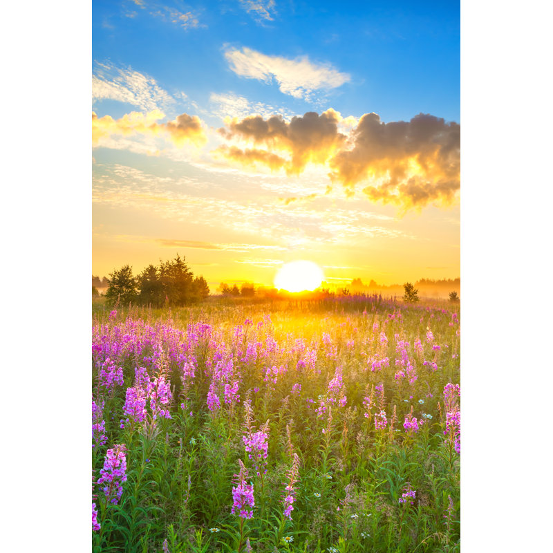 Amazing Rural Landscape - Wrapped Canvas Print, 76cm H x 51cm W x 3.8cm D