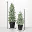 2 Piece Snowy Pine Tree Set