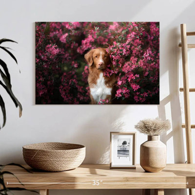 Toller dans le jardin