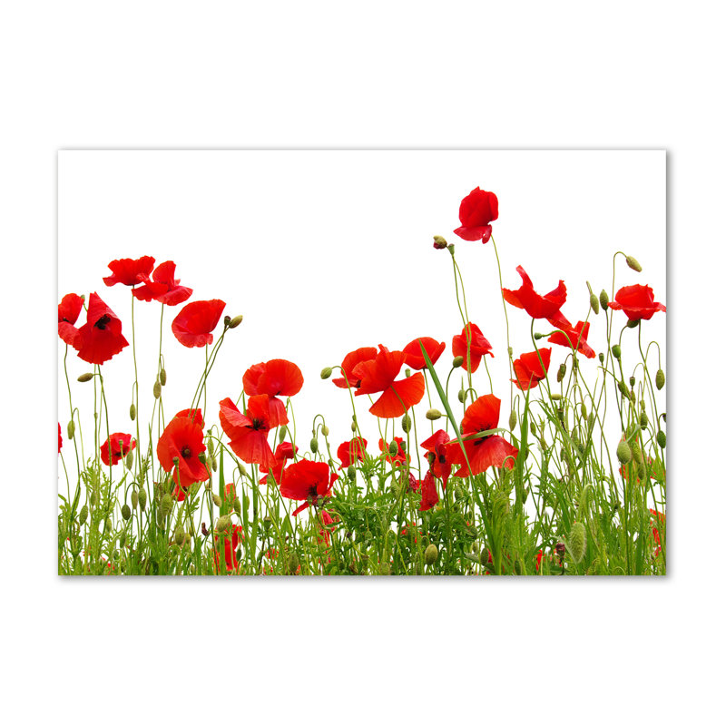 Maki - Wrapped Canvas Print