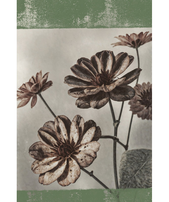 Wrapped Canvas Print, 76.2cm H x 50.8 cm W