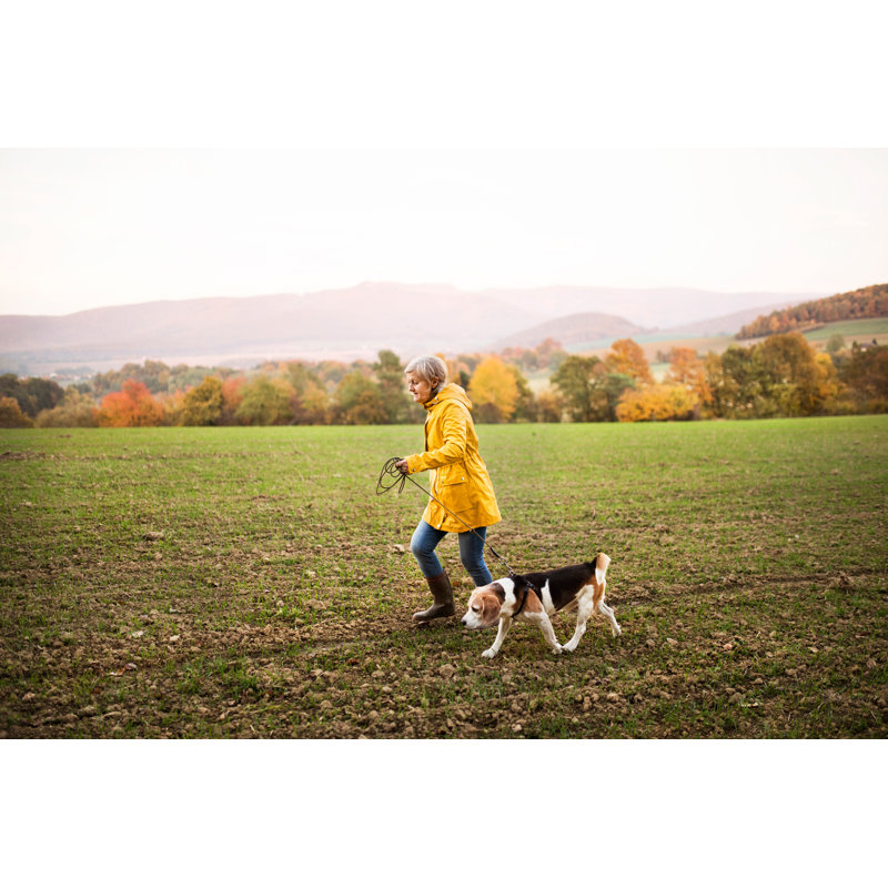 Nature d'automne par Halfpoint, H 20 po x l 30 po x P 1,25 po
